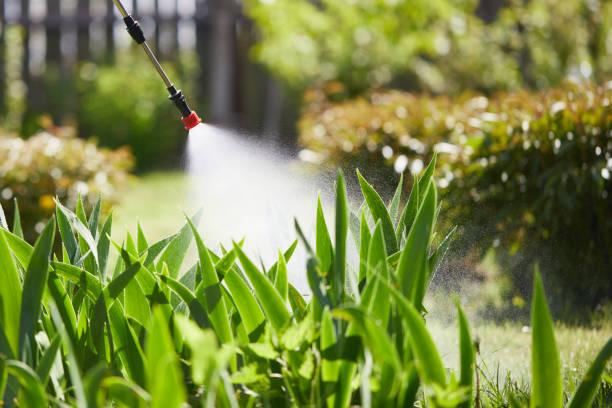 24/7 Emergency Mosquito Control experts in Man, WV