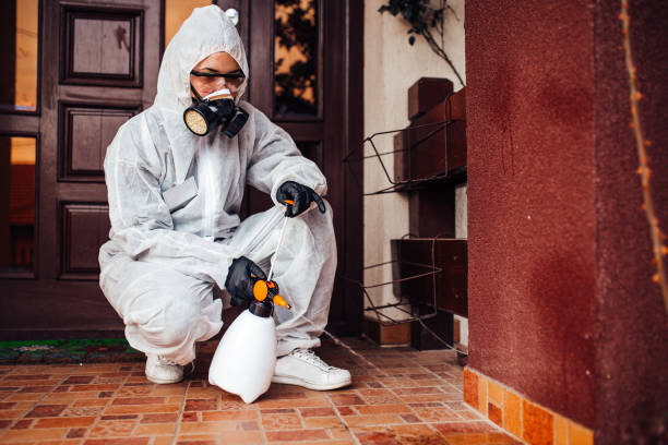 Reliable Mosquito Control contractor in Man, WV by Show Me Pest Control